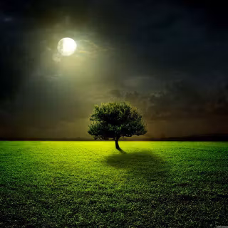 Screen wallpaper full HD