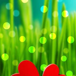 Cute love wallpaper images