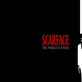 Scarface wallpaper the world is yours