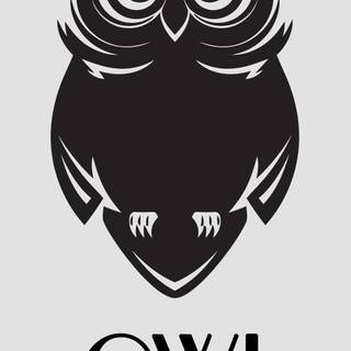 Wallpaper owl