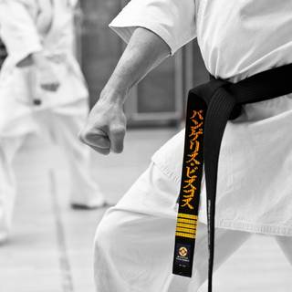 Kyokushin karate wallpaper