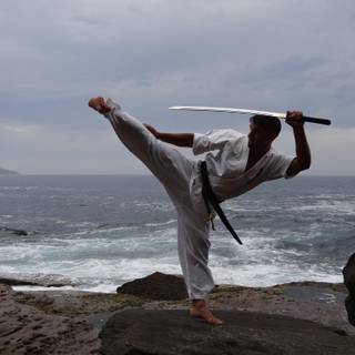 Kyokushin karate wallpaper
