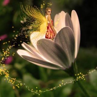 Beautiful fairy wallpaper for desktop