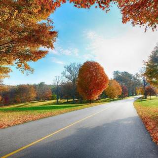 Nature HD wallpaper 1080p