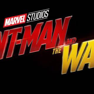 Ant-Man and the Wasp 2018 wallpaper