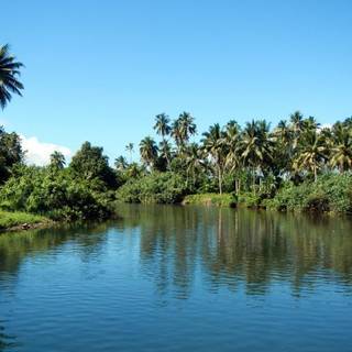 Bouma National Heritage Park wallpaper