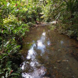 Bouma National Heritage Park wallpaper