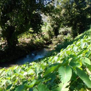 Bouma National Heritage Park wallpaper