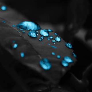 Full HD black wallpaper