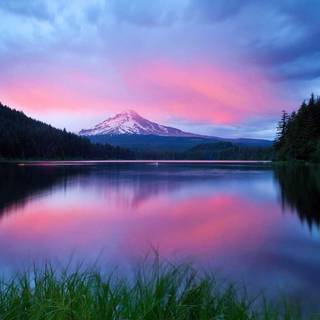 Cool HD wallpaper nature