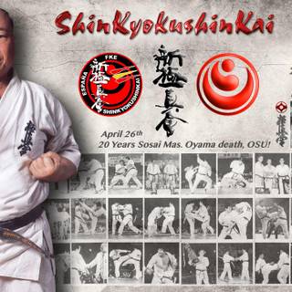 Karate kyokushin wallpaper