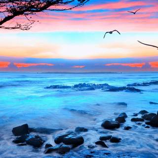 Nature HD 3D wallpaper 1080p widescreen