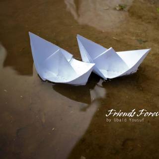 Best friend HD wallpaper