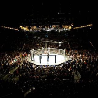 UFC wallpaper HD