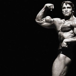 Body building HD wallpaper
