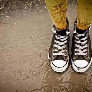 Vans shoes wallpaper