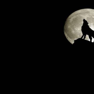 Wolf moon wallpaper