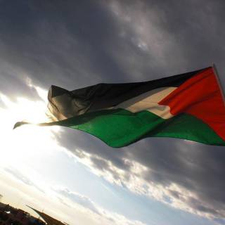 Wallpaper palestine