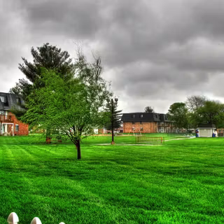 Downlod HD wallpaper