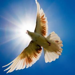 Samsung galaxy s3 wallpaper HD 1080p