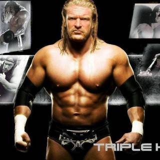 Triple h HD wallpaper