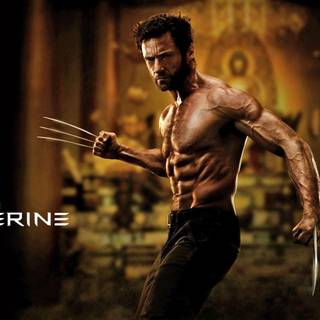 X man Logan wallpaper