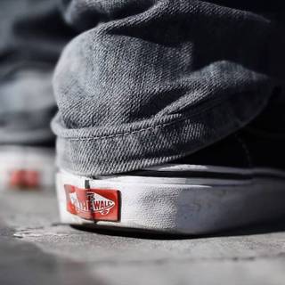 Wallpaper vans off the wall