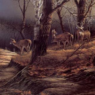 Terry redlin wallpaper border