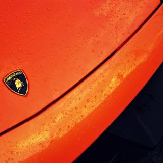Lamborghini logo HD wallpaper