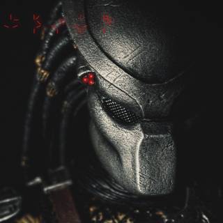 Wallpaper predator