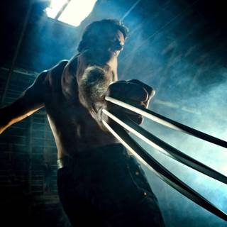 Wolverine full HD wallpaper