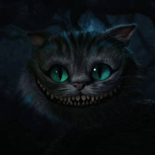 Warrior Cats wallpaper