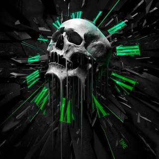 Totenkopf wallpaper 3d