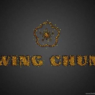 Wing chun wallpaper HD