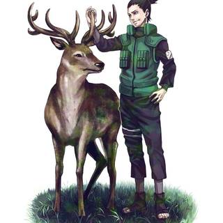 Shikamaru wallpaper shippuden