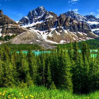 HD nature wallpaper 1920x1080