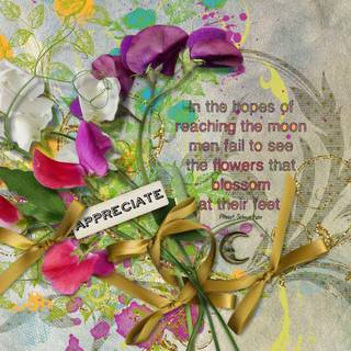 Bohemian desktop backgrounds