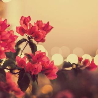 Vintage flower wallpaper