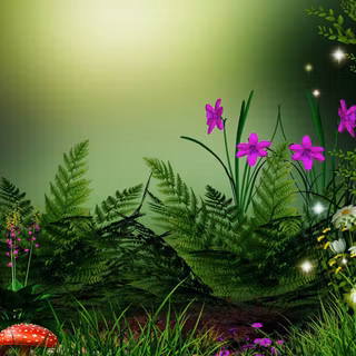 Natural HD wallpaper