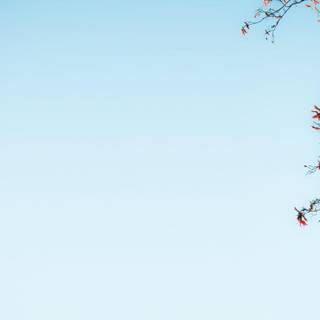 Light blue wallpaper HD