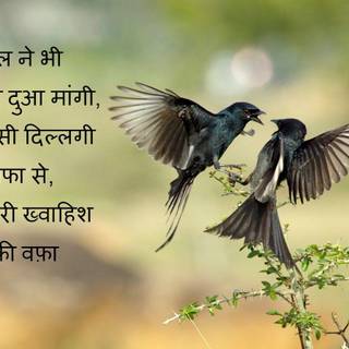 Sad shayari wallpaper full HD