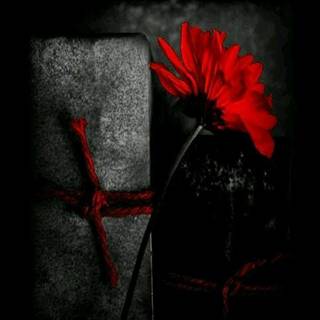 Full HD wallpaper for mobile