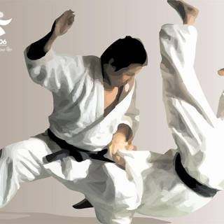 Judo wallpaper HD