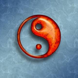 Kung fu logo wallpaper