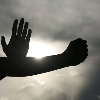 Kung fu logo wallpaper