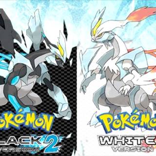 Pokemon wallpaper legendary black and white 2