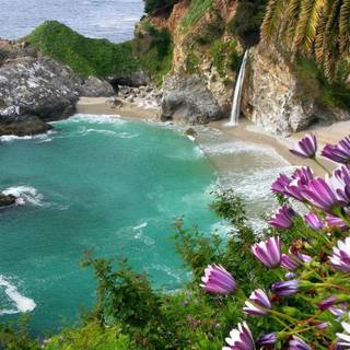 Natural beauty of nature wallpaper HD