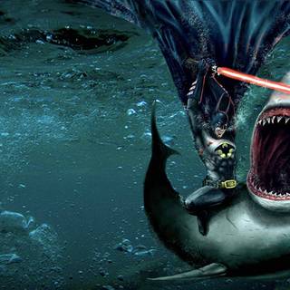 Funny HD wallpaper 1920x1080