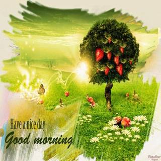 Latest good morning wallpaper