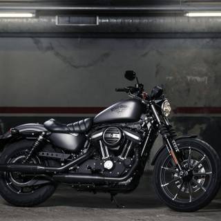 Harley davidson iron 883 HD wallpaper